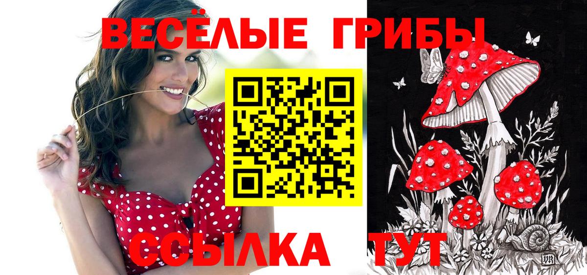 Красногорск  Галлюциногенные грибы GOLDEN TEACHER  Вход с VPN 